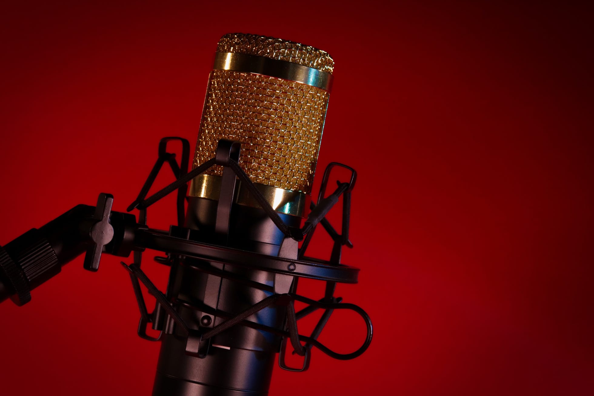 studio microphone, voiceovers, singing, talent, sound edit sessions