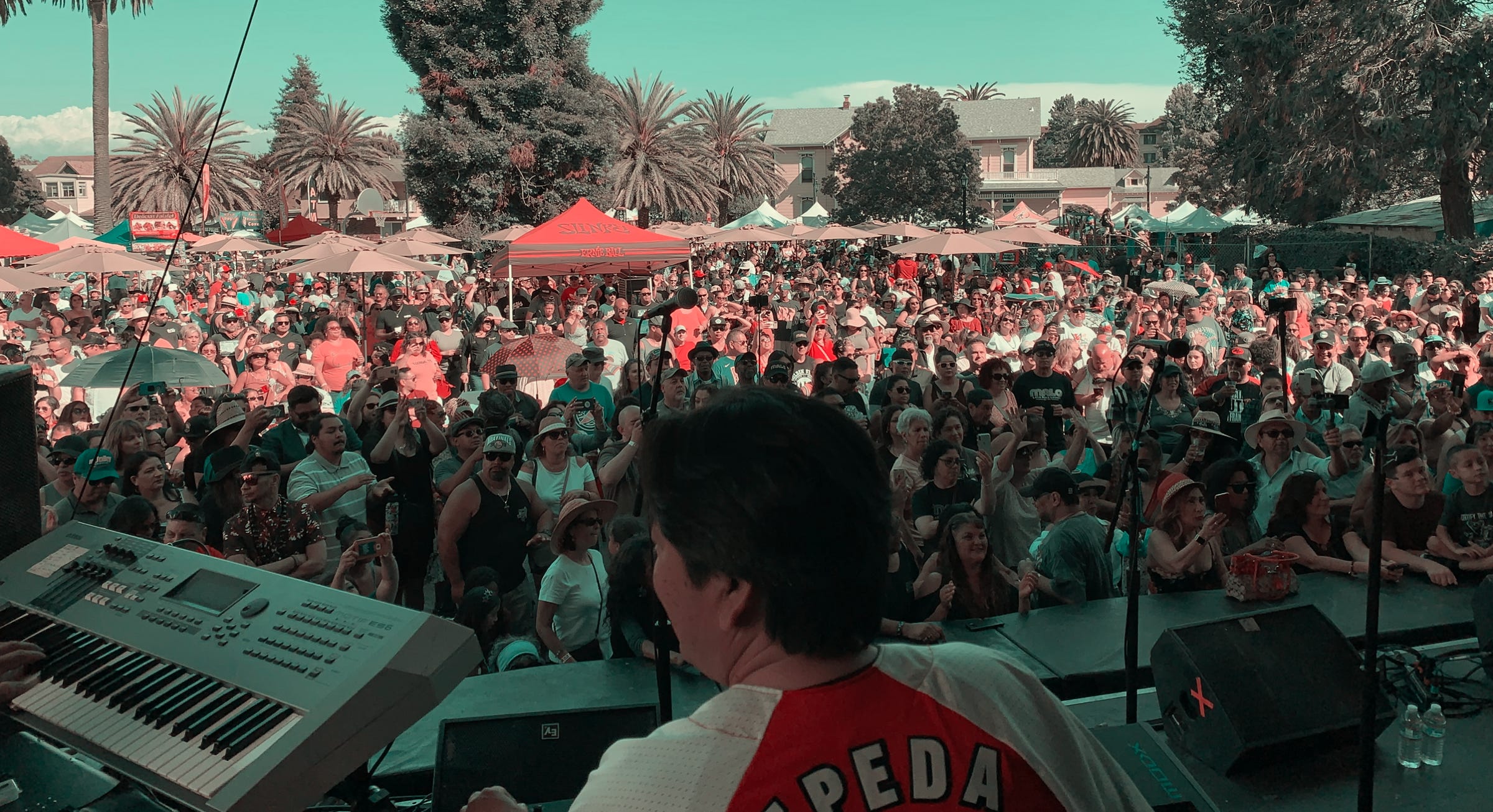 outdoor festivals, cherry festival, intimate concerts, live events, streaming events, event production,event management, booking, planning,  event sound, lights, stage,full service 360