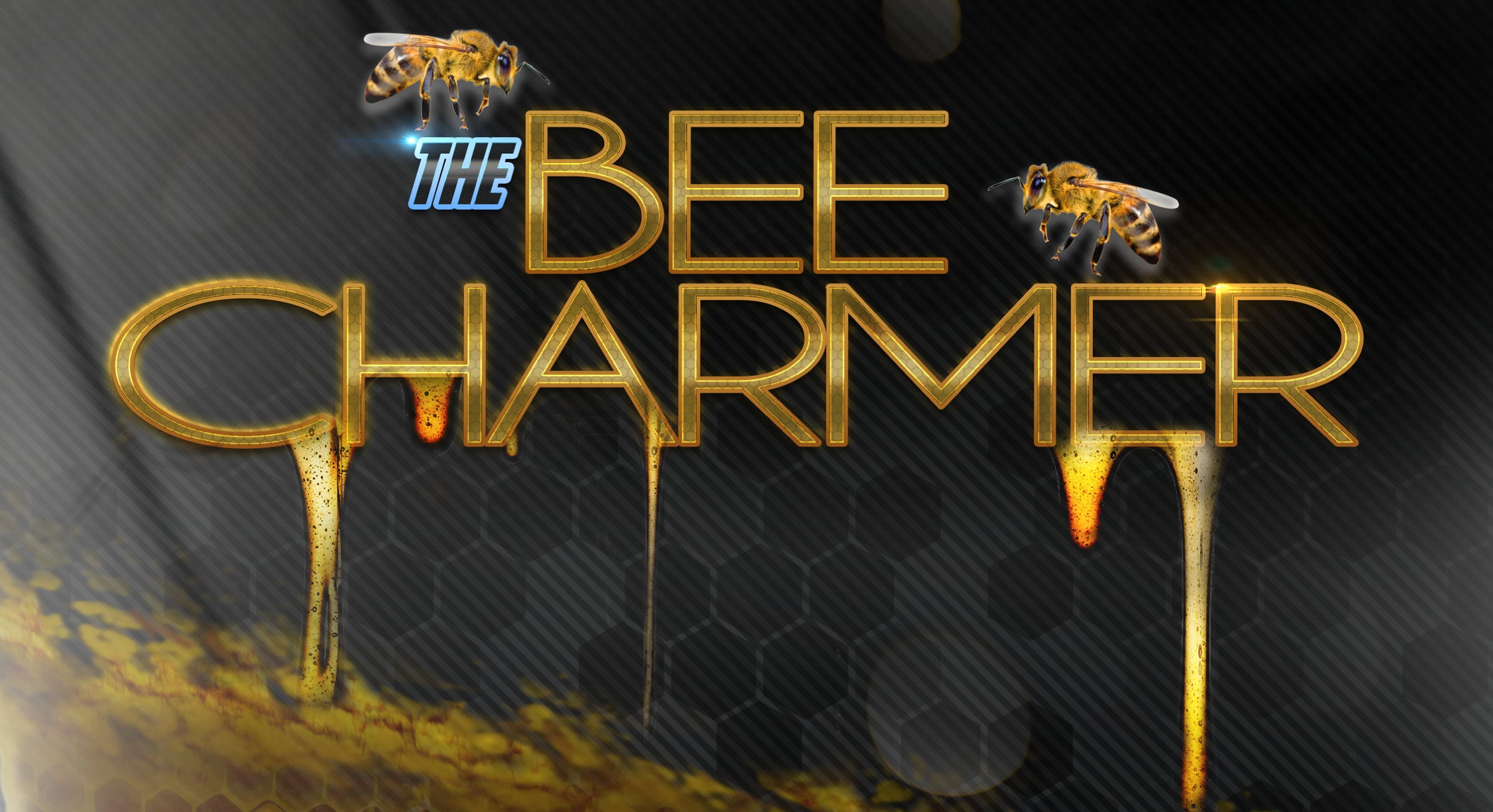 bee charmer brand, title card, graphic design, 2d, 3d motion graphics